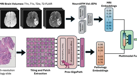 CoRe-BT: A Multimodal Radiology-Pathology-Text Benchmark for Robust Brain Tumor Typing