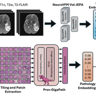 CoRe-BT: A Multimodal Radiology-Pathology-Text Benchmark for Robust Brain Tumor Typing